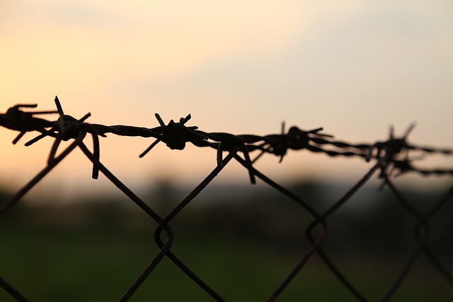 barbed-wire-1052651_640