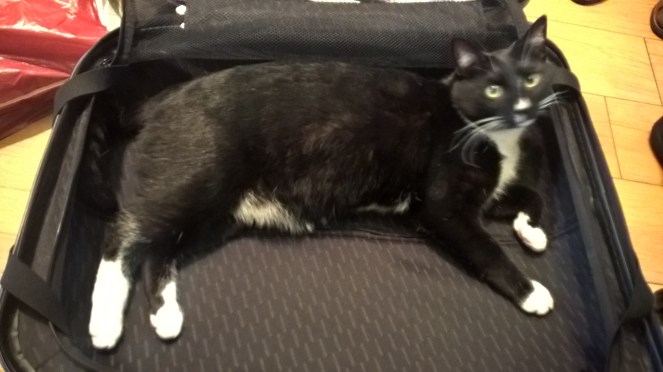 wp_20160812_16_17_37_pro