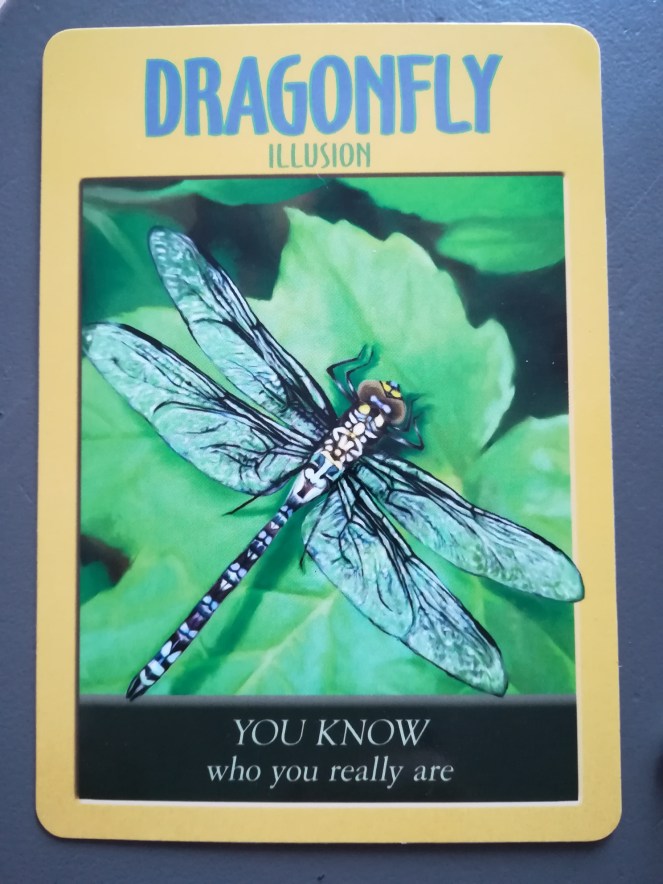 IMG_20170803_071324_resized_20170803_071355849